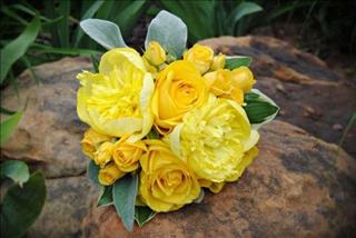 Tử vi Thứ 5 ngày 14/6/2018 của 12 con giáp