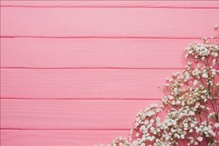 Tử vi thứ 3 ngày 12/6/2018 của 12 con giáp