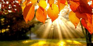 Tiết Lập Thu 2018 là ngày nào, có điều gì cần kiêng kỵ trong tiết Lập Thu?