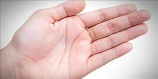 Xem tài năng và thành công qua đường Thái Dương trong lòng bàn tay