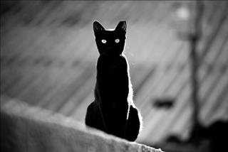 Cách xác định ngày Kim Thần Thất Sát