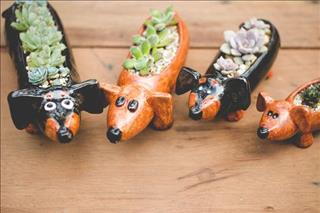 Tử vi Thứ 7 ngày 19/5/2018 của 12 con giáp