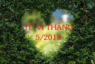 Tử vi tháng 5/2018 âm lịch của 12 con giáp: Ngọ lao đao vì Thái Tuế, Tuất kê cao gối mà ngủ