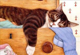 Tử vi thứ 6 ngày 11/5/2018 của 12 cung hoàng đạo