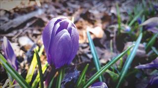 Tử vi thứ 3 ngày 12/6/2018 của 12 cung hoàng đạo