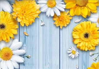 Tử vi Thứ 7 ngày 30/6/2018 của 12 con giáp