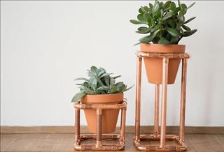 Tử vi Thứ 5 ngày 5/7/2018 của 12 con giáp