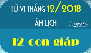 Tử vi tháng 12/2018 âm lịch: Năm hết Tết đến, con giáp nào dễ phát tài phát lộc?