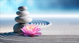 Đối xử với người ghét mình như thế nào cho đời thanh thản