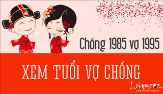 Xem hợp tuổi chồng ẤT SỬU 1985 vợ ẤT HỢI 1995