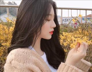 Tính cách tuổi Tuất cung Cự Giải: Nhạy cảm và thiện lương