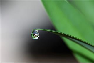 Tử vi thứ 6 ngày 6/7/2018 của 12 con giáp