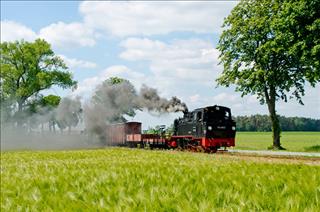 Tử vi thứ 6 ngày 13/7/2018 của 12 con giáp