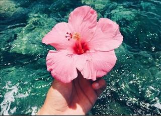 Tử vi Thứ 6 ngày 8/6/2018 của 12 cung hoàng đạo