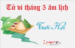 Tử vi tháng 5/2018 tuổi Hợi: Tốt công danh nhưng lận đận tình duyên