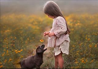 Tử vi Thứ 6 ngày 13/7/2018 của 12 cung hoàng đạo