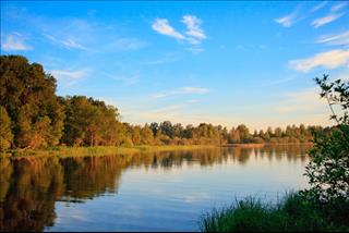 Tử vi Chủ nhật ngày 29/7/2018 của 12 con giáp: Sửu vô tình, Thân hạnh phúc