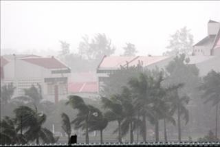 Dự báo thời tiết 10 ngày tới từ 16 đến 25/7: Mưa to nhiều nơi, đề phòng tố lốc