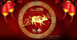 Tử vi tuổi Sửu năm Kỷ Hợi 2019: Vận khí hanh thông nhưng chưa thực sự ổn định