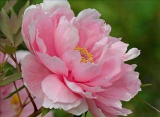 Tử vi Thứ 6 ngày 27/7/2018 của 12 cung hoàng đạo: Bạch Dương cẩn thận mưa gió, Thiên Bình nhanh trí hơn người