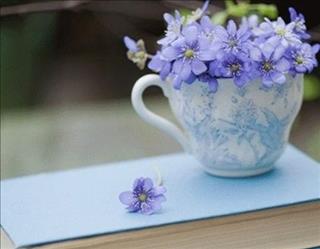 Tử vi Thứ 3 ngày 7/8/2018 của 12 con giáp: Tý sống vô tư, Mão được nhận thưởng