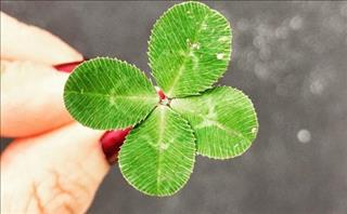 Chúc mừng 5 cung hoàng đạo may mắn hết phần thiên hạ trong tháng 7 này