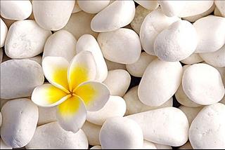 Tử vi Thứ 5 ngày 19/7/2018 của 12 con giáp: Tý ngó lơ kẻ xấu, Ngọ rủng rỉnh tiền tiêu