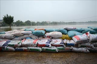 Tin cảnh báo lũ: Nước sông Bùi tạm rút nhưng vẫn ở báo động 3, không có tuyến đê nào bị vỡ