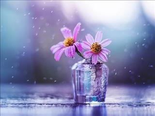 Tử vi Thứ 5 ngày 16/8/2018 của 12 con giáp: Tý trì trệ, Dần tiền bạc ùn ùn đổ về