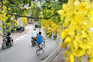 Dự báo thời tiết hôm nay 13/8: Bắc Bộ ngày nắng nóng, đêm mưa, Vùng biển Vịnh Bắc Bộ mưa dông mạnh