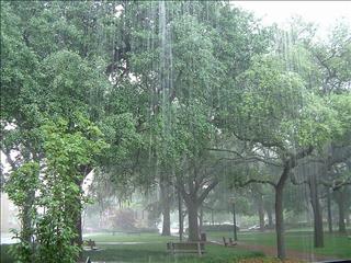 Dự báo thời tiết hôm nay 20/8: Hà Nội, TP. Hồ Chí Minh có dông rải rác