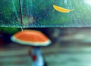 Dự báo thời tiết hôm nay 21/8: Nắng nóng nhiều vùng nhất là Thanh Hóa, Huế