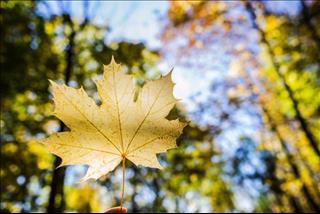 Dự báo thời tiết ngày mai 21/8: Cả nước ngày nắng đêm mưa rải rác