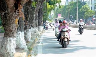 Dự báo thời tiết hôm nay 26/8: Hà Nội mưa rào vào chiều tối và đêm