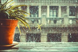 Dự báo thời tiết ngày mai 26/8: Nam Bộ có mưa rào và dông