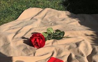 Tử vi Thứ 2 ngày 27/8/2018 của 12 cung hoàng đạo: Kim Ngưu cứng đầu, Sư Tử nghĩ tiêu cực