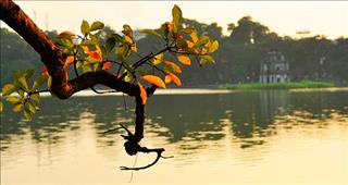 Dự báo thời tiết 5 ngày tới từ 1 – 5/9: Miền Bắc chuyển nắng, trời giảm mưa