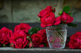 Tử vi thứ 5 ngày 30/8/2018 của 12 cung hoàng đạo: Song Tử may mắn, Thiên Bình nóng nảy
