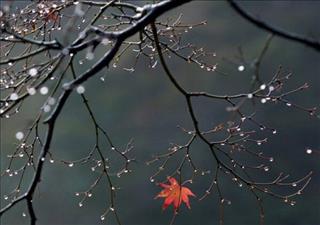 Dự báo thời tiết 10 ngày tới 1/9 – 10/9: Tây Nguyên, Hà Nội, Nam Bộ ngày nắng đêm mưa