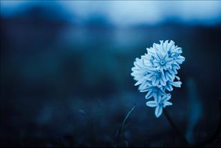 Tử vi thứ 5 ngày 9/8/2018 của 12 cung hoàng đạo: Song Tử vô tâm, Xử Nữ đau lòng