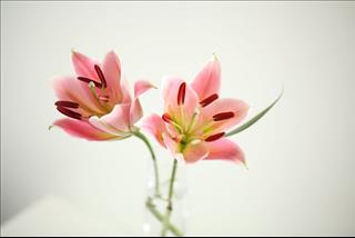 Tử vi thứ 3 ngày 11/9/2018 của 12 cung hoàng đạo:Cự Giải tài hoa, Sư Tử chán nản