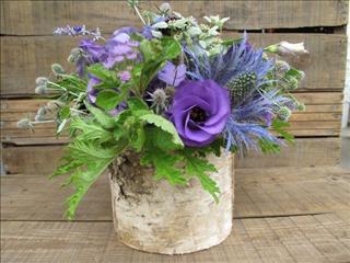 Tử vi Thứ 3 ngày 18/9/2018 của 12 con giáp: Tý buồn vì tiểu nhân, Sửu thất hứa