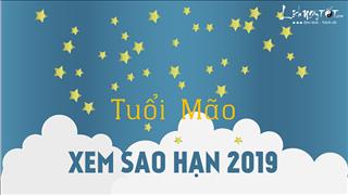 Xem sao hạn 2019 tuổi Mão: Chi tiết cho các tuổi Tân Mão, Kỷ Mão, Quý Mão, Đinh Mão, Ất Mão