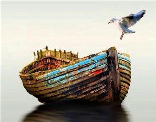 Tử vi ngày 22/9/2018 Thứ 7 của 12 con giáp: Tý chớ chủ quan, Sửu đào hoa vượng