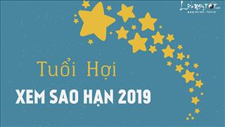 Xem sao hạn 2019 tuổi Hợi: Chi tiết các tuổi Tân Hợi, Kỷ Hợi, Quý Hợi, Đinh Hợi, Ất Hợi