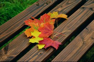 Tử vi thứ 5 ngày 20/9/2018 của 12 cung hoàng đạo: Cự Giải hối hận, Xử Nữ hồ đồ