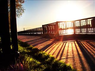 Dự báo thời tiết hôm nay 22/9: Thanh Hóa đêm không mưa, ngày nắng