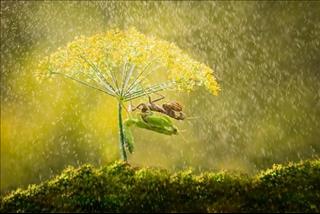 Dự báo thời tiết hôm nay 23/9: Hà Nội mưa rải rác