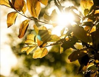 Dự báo thời tiết hôm nay 24/9: Hà Nội và Tây Bắc Bộ nắng nóng