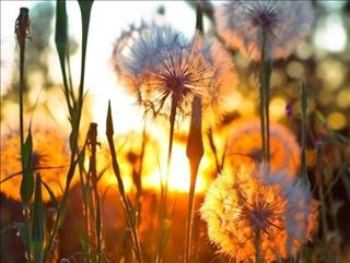 Dự báo thời tiết ngày mai 25/9: Thanh Hóa ngày nắng, khuya có mưa dông